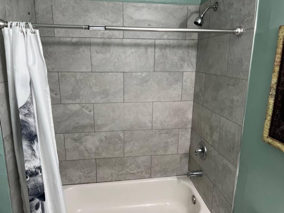 2 Blocks From French Quarters Apartment New Orleans Ngoại thất bức ảnh